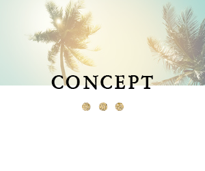 concept_bnr